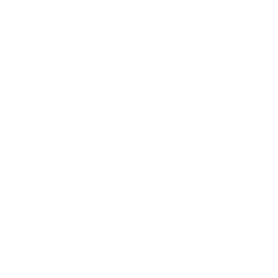 Blitseg