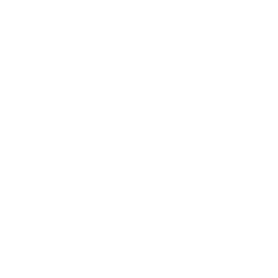 D-19 Dart