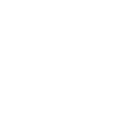 Monovan
