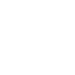 Snowball Grenade
