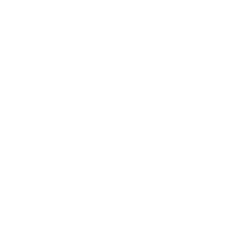 Cleanup Detail