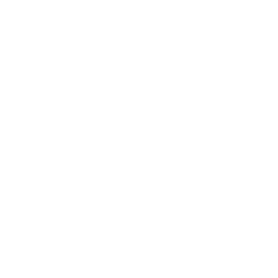 ??? (PanelMission)