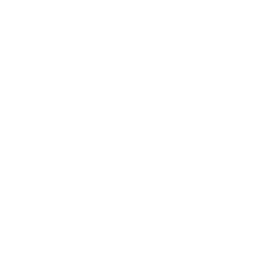 Crash Test Dummy