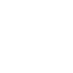 Mission Directive