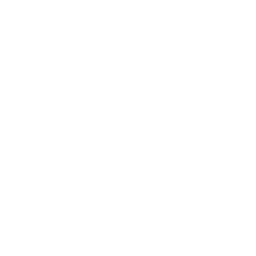 Weapons Testing