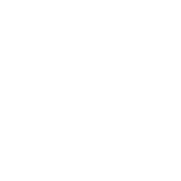Icon of Pocket Grenade (Wait Why Is This One Legal?)